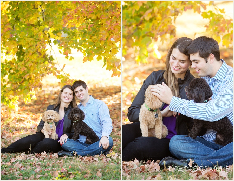St. Louis family photos in forest park fall photos with family dogs_0007