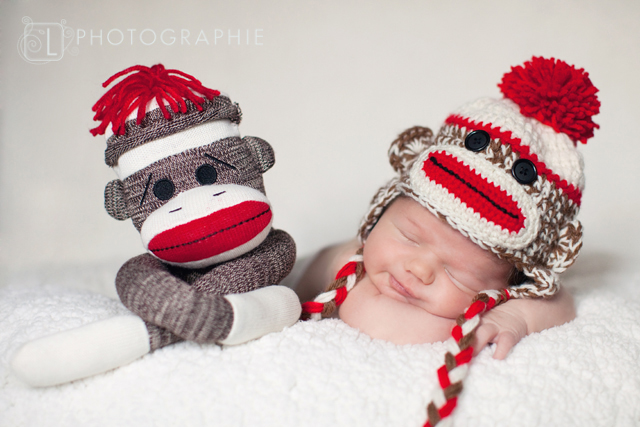 newborn sock monkey. st. louis photographer