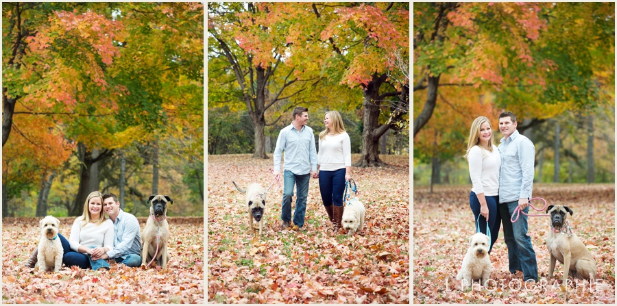 St. Louis Fall Engagement Photos with dogs forest park_001.jpg