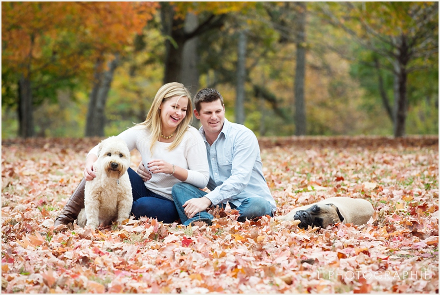 St. Louis Fall Engagement Photos with dogs forest park_002.jpg