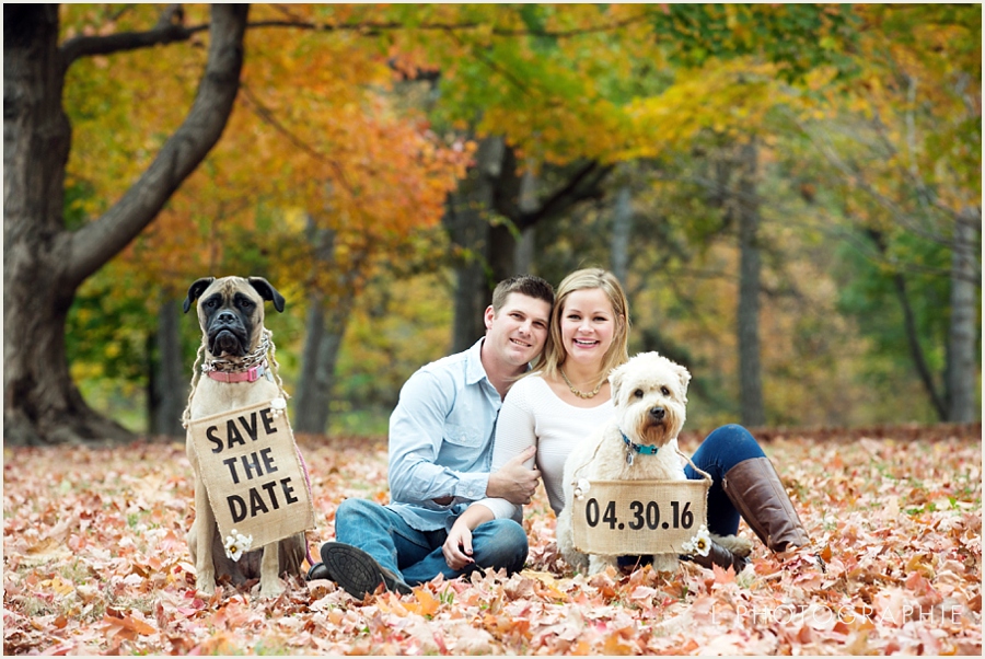 St. Louis Fall Engagement Photos with dogs forest park_003.jpg