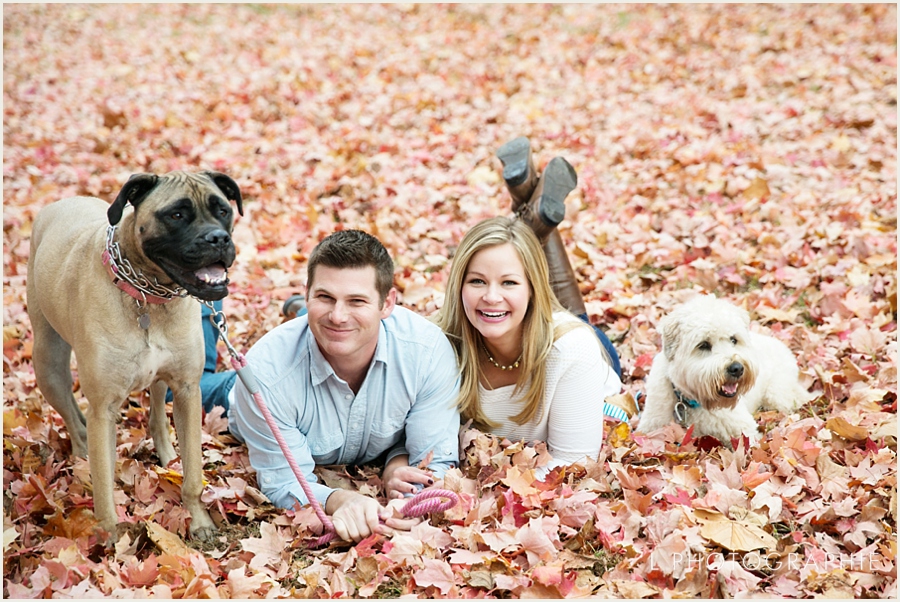 St. Louis Fall Engagement Photos with dogs forest park_004.jpg