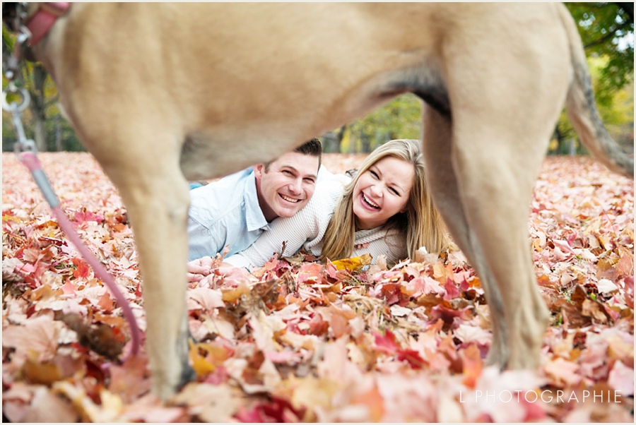 St. Louis Fall Engagement Photos with dogs forest park_006.jpg
