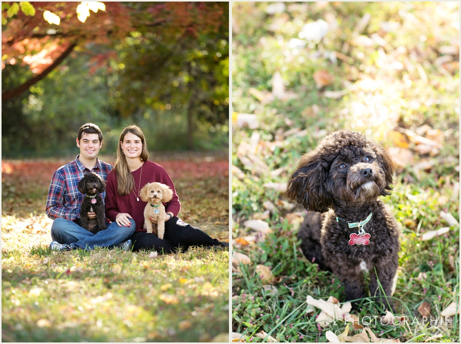 St. Louis family photos in forest park fall photos with family dogs_0002