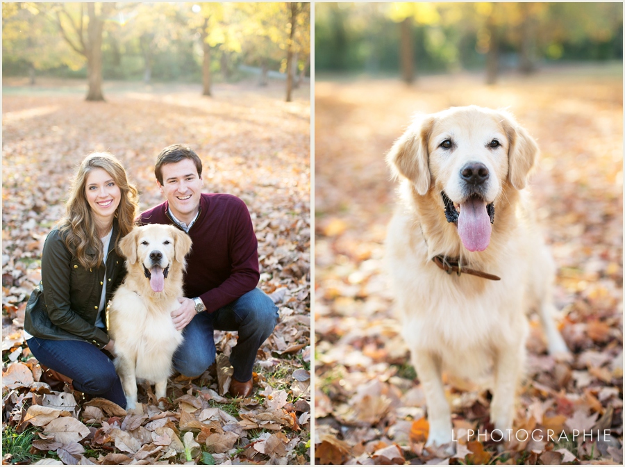 Forest Park fall engagement photos with dog arch overlook_0007.jpg